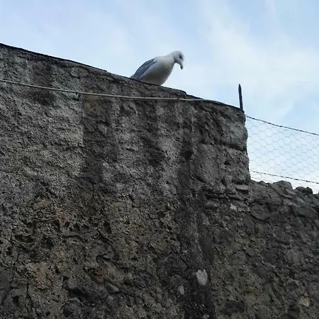 Semesterbostad Il Nido Dei Gabbiani Porto Venere